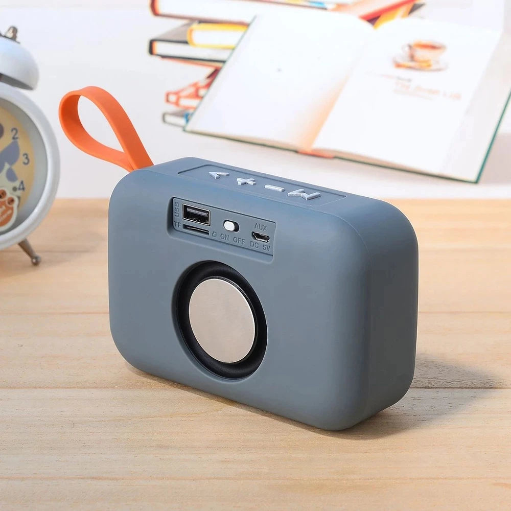 Portable Bluetooth Speaker with FM Radio & Subwoofer