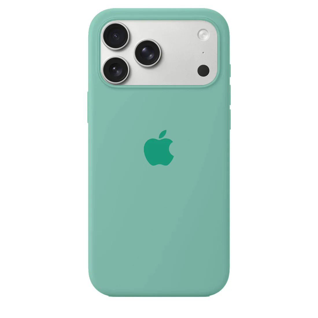 Silicone Case (MINT)